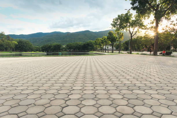 Best Paver Driveway Replacement  in USA